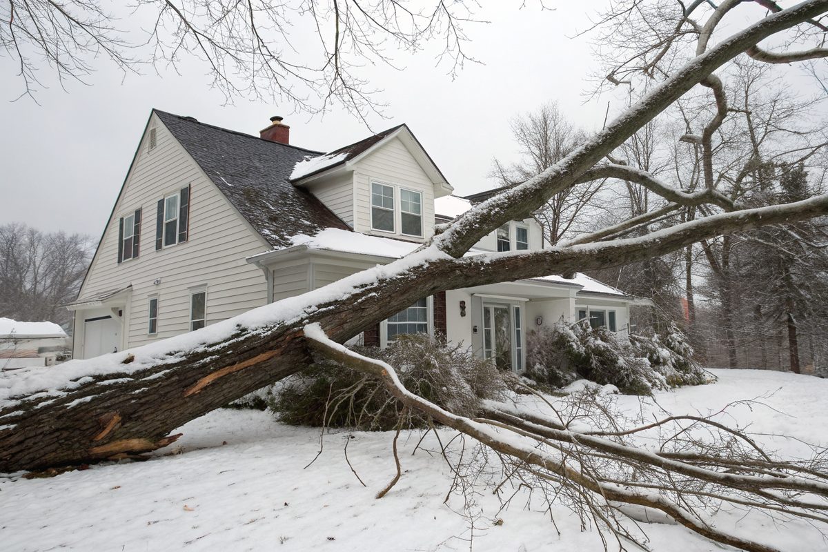 A large snow-broken tree limb lying across the roof of a two-story house
